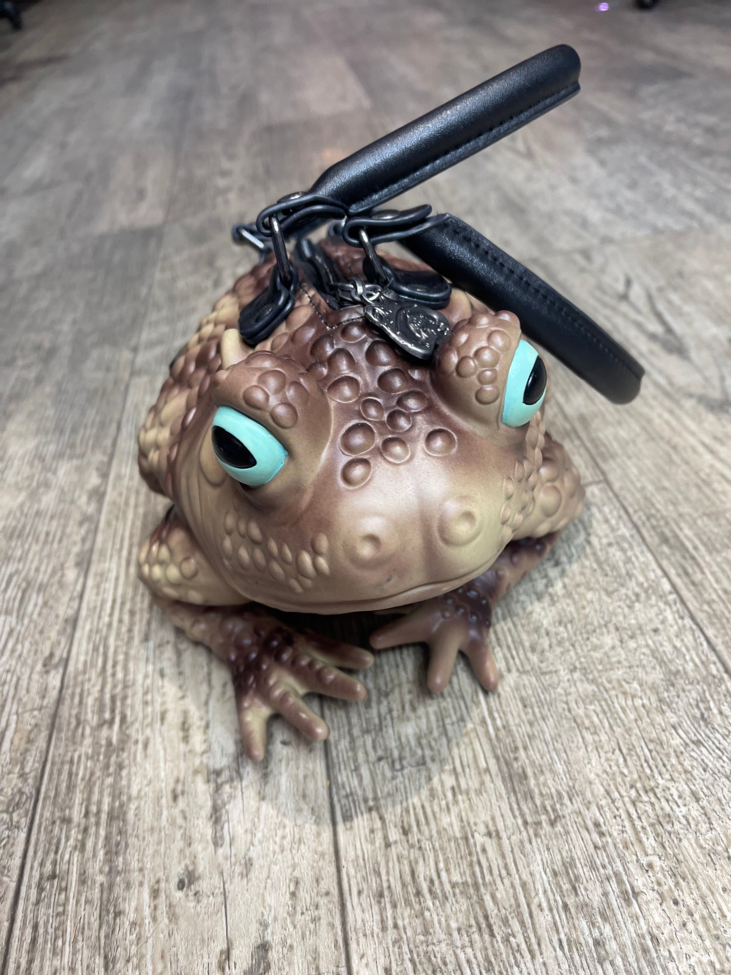 Frog Purse