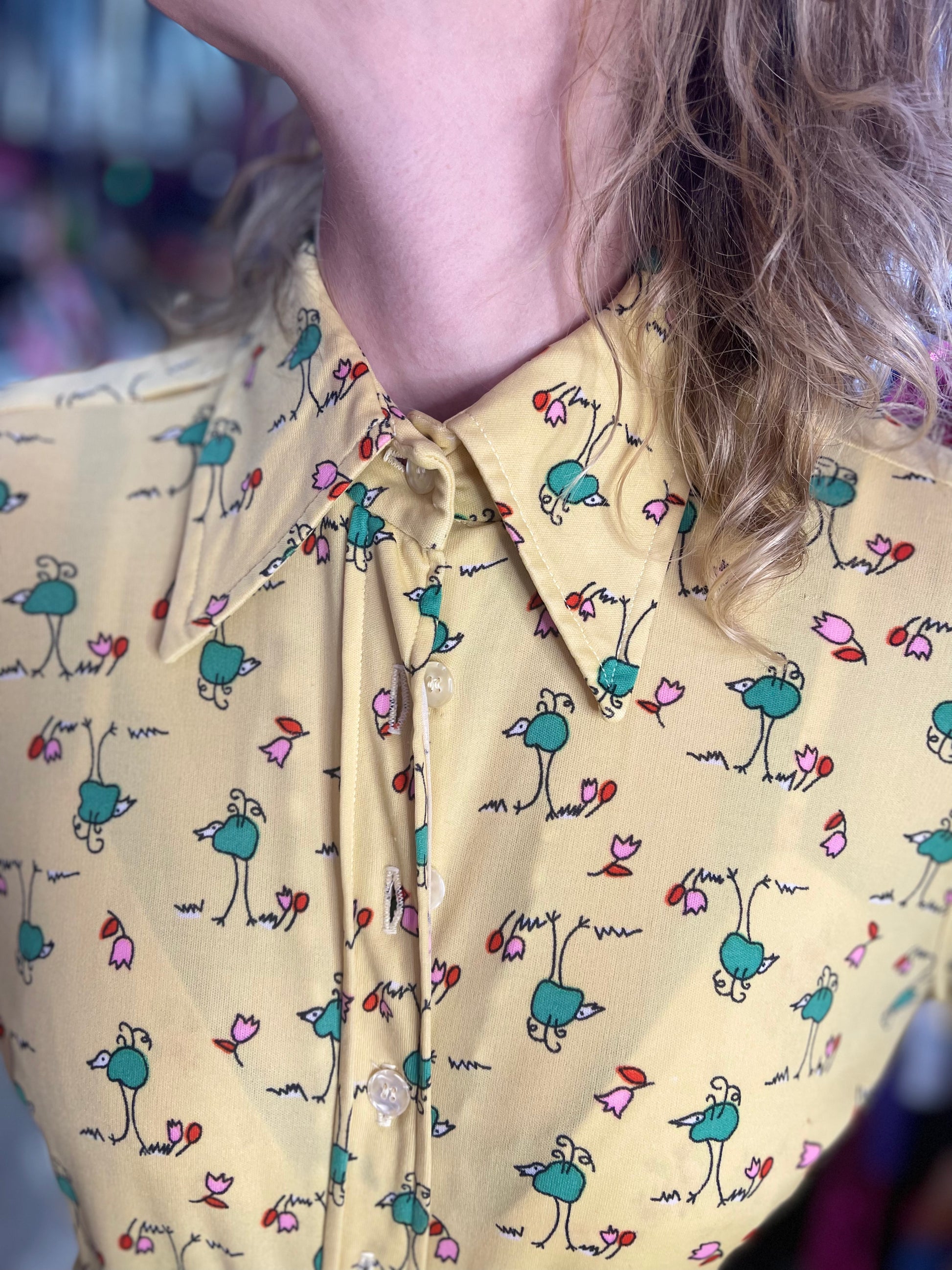Vintage 70’s Pointed Collar Bird Doodle Print Shirt - Spark Pretty